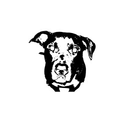 Bo