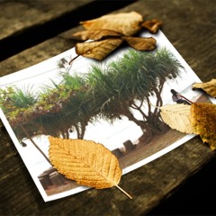 อยากให้รู้คิดถึงเธอขนาดไหน