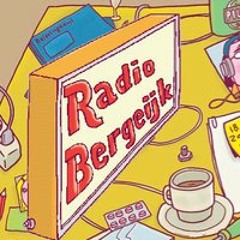 Bergeijkse Volkswijsheden