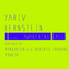 Yariv Bernstein-Awakening Call