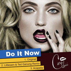 Cara Quici - Do It Now (Littlesam &amp; Ted Ganung Remix)