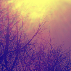 Unholy Etudes