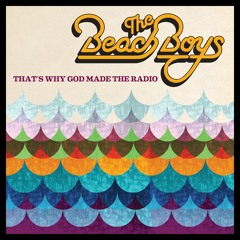 Beach Boys, The - 02 That's Why God Made The Radio