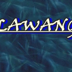 SELAWANG Band - Merindukan Bunga