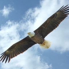 林子祥 十分十二寸  超嗨版 慢摇