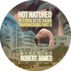 Robert James - Hot Natured Intergalactic Radio Transmissions 004