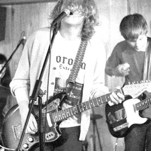Ty Segall Band