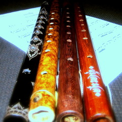 เดี่ยวสุรินทราหู