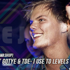 Avicci Ft Gotye & TDE- I use To Levels (ReJiZ Start-MashUp)