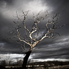 Ricky L Feat. Mck - Born Again ( Omarr 2k12 Private Edit )