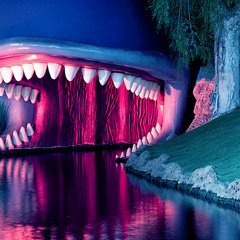 Barkback Whale