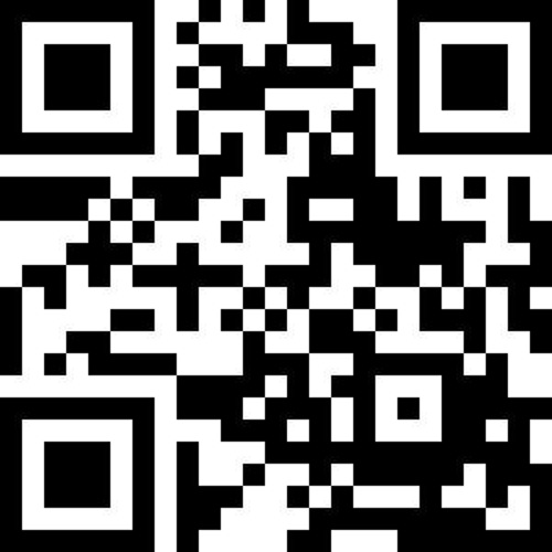 Subnetics - QR Code - Unsigned