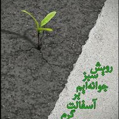 Shahkar Bineshpazhooh Sar Oumad Zemestoon