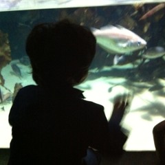 BROWN STAR ...dedicated to the majority