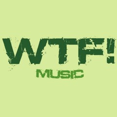 Matt Minimal - Funky beats ( Original Mix ) [WTF! Music]