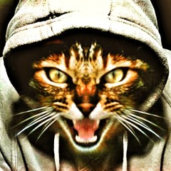 Eye of the Tiger Ukulele Instrumental