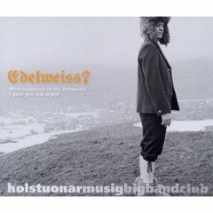 HMBC - What Happened To The Edelweiss I Gave You Last Night (Struboskop Dub Mix)