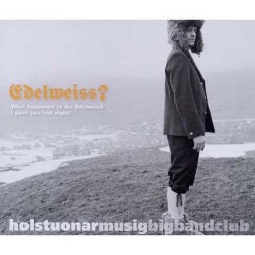 HMBC - What Happened To The Edelweiss I Gave You Last Night (Struboskop Dub Mix)