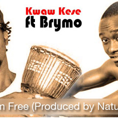 Kwaw kese ft Brymo - I'm free produced by Nature