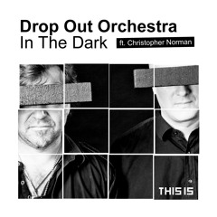 Drop Out Orchestra ft. Christopher Norman - In The Dark