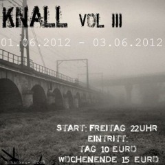 Disco Brothers @ Brückenknall Seal Haldensleben