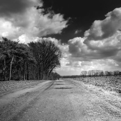 Pensive - This Old Road feat jOSEF - (Clip)