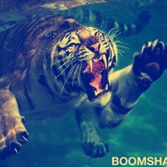 Crush On You (Boomshakalaka Remix)