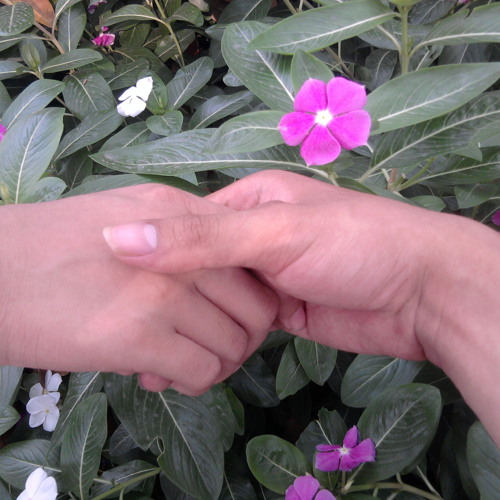 Khúc nhạc vui
