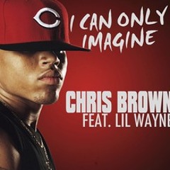 David Guetta Ft Chris Brown & Lil Wayne - I Can Only Imagine  ( ACAPELLA )