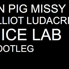 Fn Pig Ft. Missy Elliot & Ludacris (Nice Lab Bootleg)