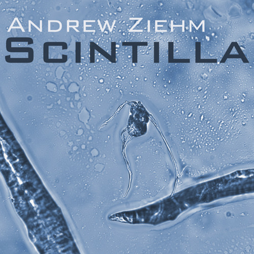 Scintilla (Andrew Ziehm)