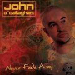 Never Fade Away - John O'Callaghan Feat. Lo-Fi Sugar