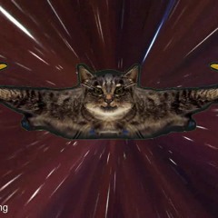 Synapsenkitzler - Cat Helicopter Song (Orvillecopter) (check Videolink!)