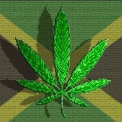 Dj Robert C - The Sounds Of Ragga (Drum & bass Mix)