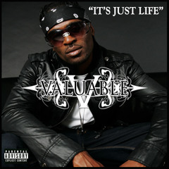 ITS JUST LIFE: by VALUABLE