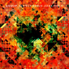 Gossip - Perfect World (SVRA Remix)