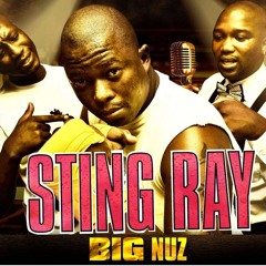 big nuz - Sting ray (Mr Djay's Nguni remix)