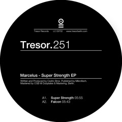 B2. Marcelus - Suspension