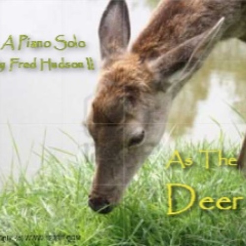 As The Deer