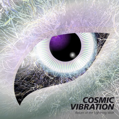 Cosmic Vibration / Spirit speaks to you