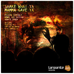 Shake What Ya Mama Gave Ya (Dimitri KO Remix) - Richard Dinsdale, Henri Leo Thiesen, Robbie Senza