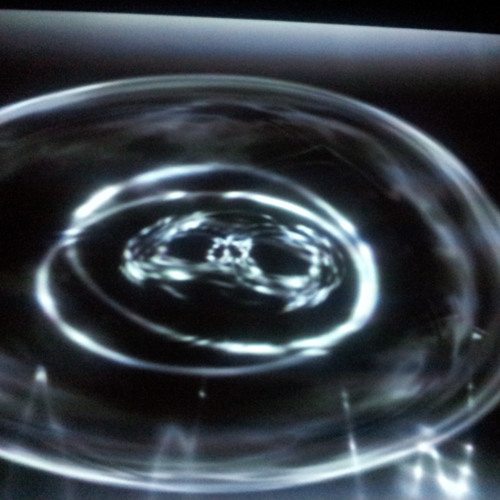 paul prudence, francisco lopez - hydroacoustic study, 2010 at Nimk