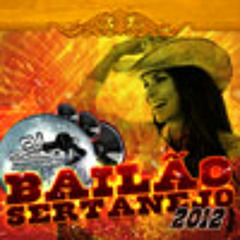 CD BAILAO SERTANEJO 2012 - DJ CLEISON-DF - 02