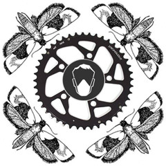 PHYLOXERA - IV - NKS prod 83