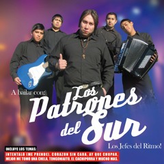 LOS PATRONES DEL SUR-Mix Mambo Ranchero(Los Jefes del Ritmo)