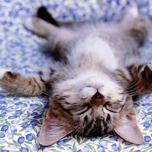 8Hz to 4Hz Binaural for Sleep
