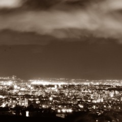 Dead City Nights