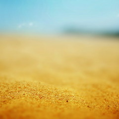 Every Grain of Sand