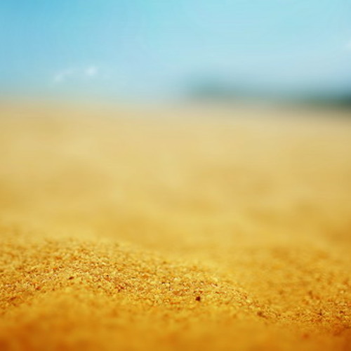 Every Grain of Sand