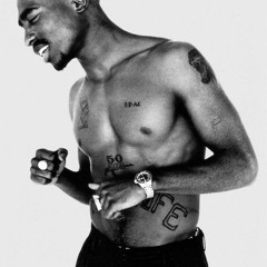 2Pac - ToySoldier (teflonMix)